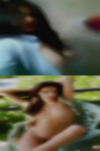 fayVanselow1981, NSA