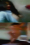 Honeybear07130, 