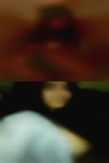 Wildcard0069, 